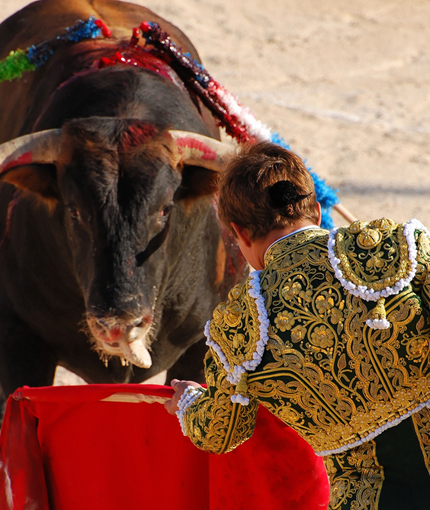 Bullfighting